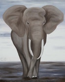 The Elephant in oil paint